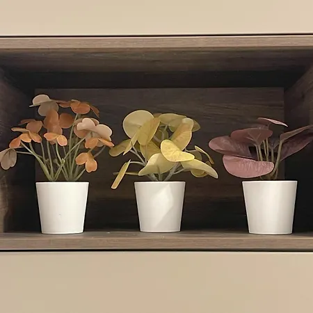 Apartmán La Rosa Del